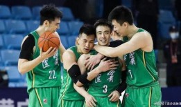 杨鸣最新爆料,篮球界幕后故事大公开